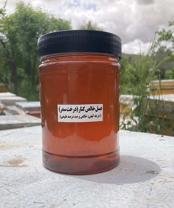 عسل کنار ایرانی اصل